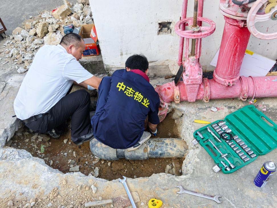 圖片17.jpg